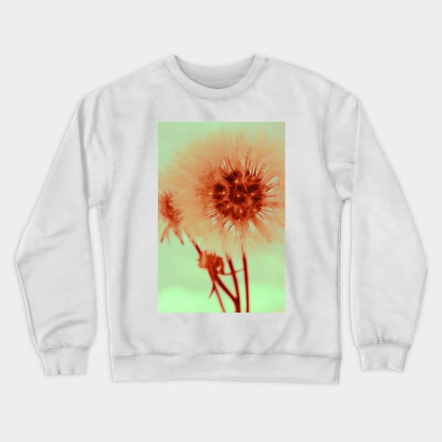 Dandelion II Crewneck Sweatshirt by infloence